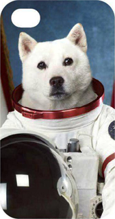 スペースお父さんカバコレ
