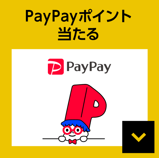 PayPay PayPayポイント当たる