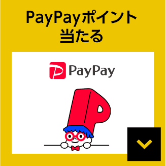 PayPay PayPayポイント当たる